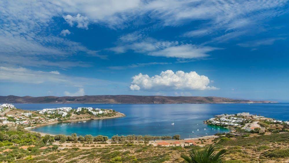 Sounio Villa Πειραιάς Εξωτερικό φωτογραφία